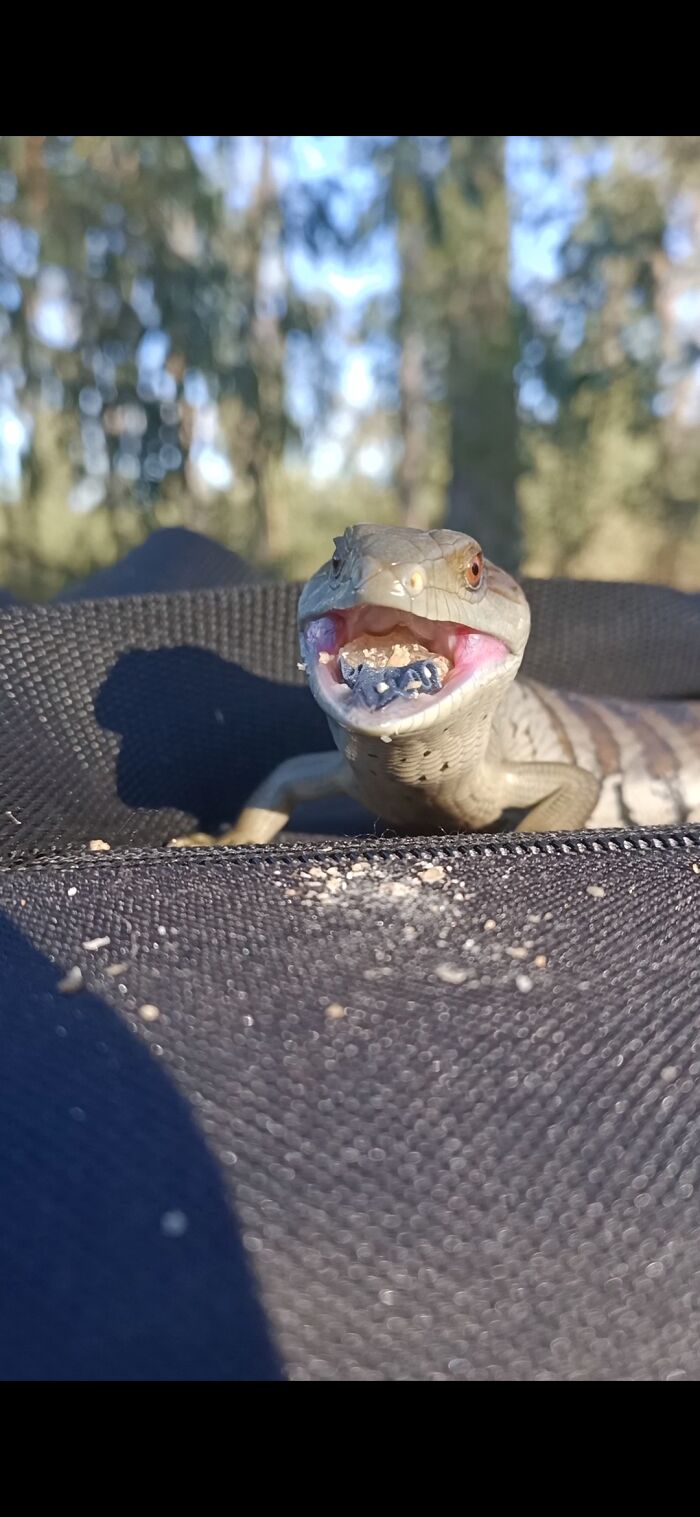 Sorry I Meant Gallery