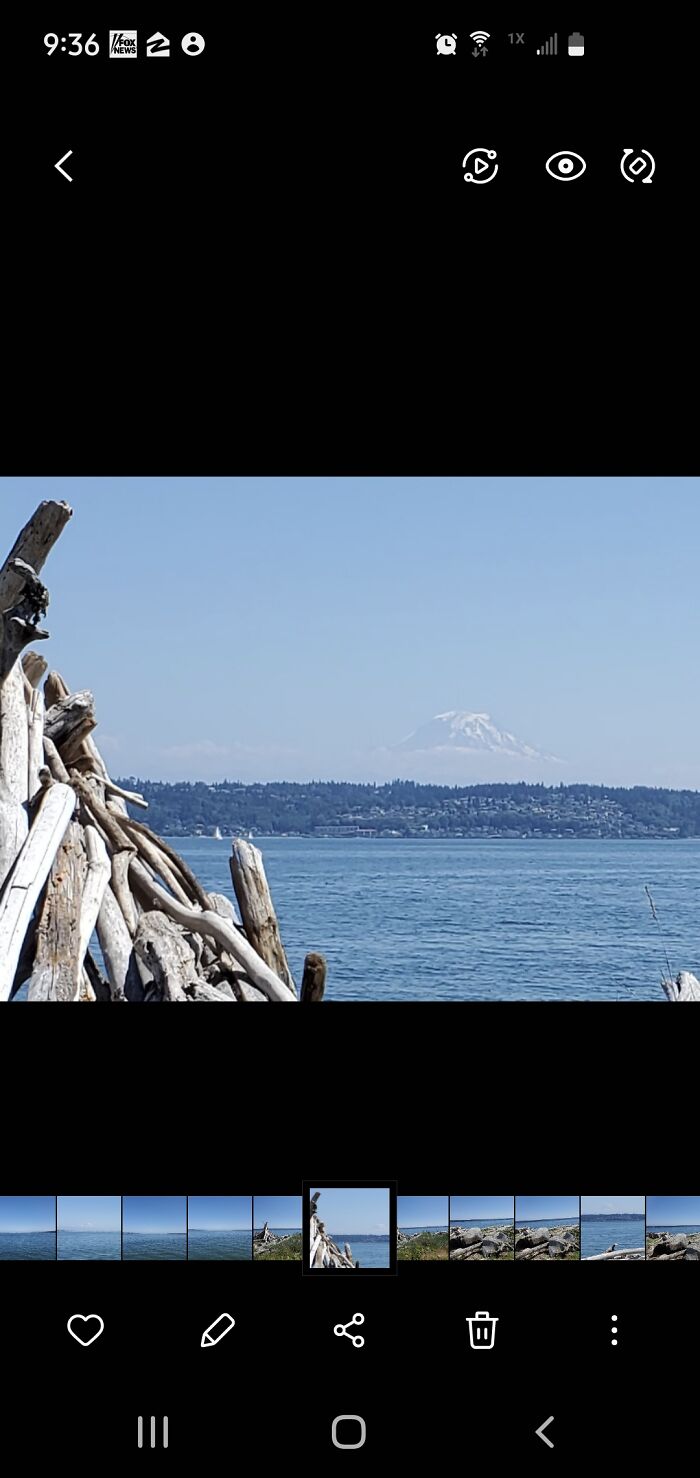 Puget Sound With Mt. Rainier In The Distance.