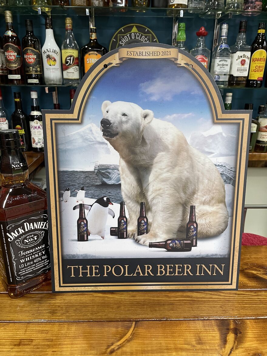 Every Seen A Drunken Polar Beer?