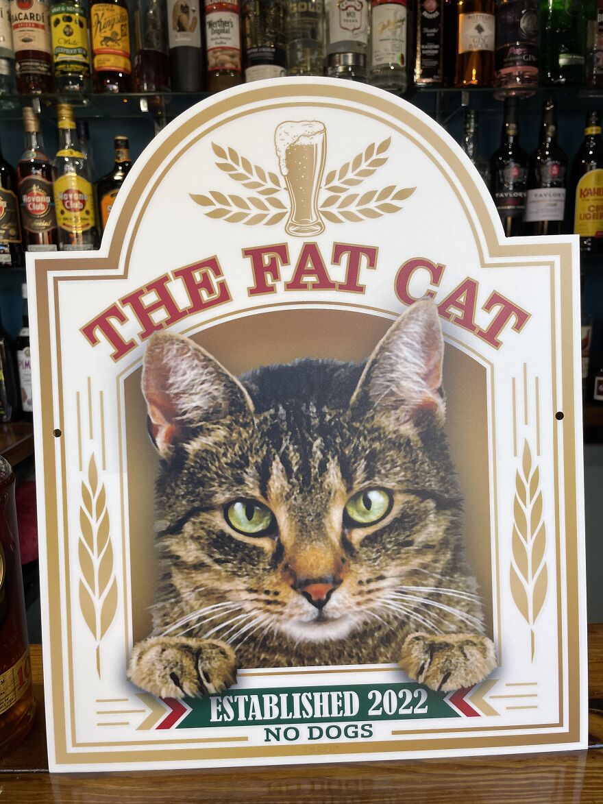Just What A She Shed Should Have - A Fat Cat Bar Sign
