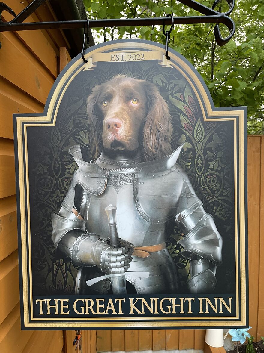 Sir Lancelot The Spaniel In His Fighting Gear.