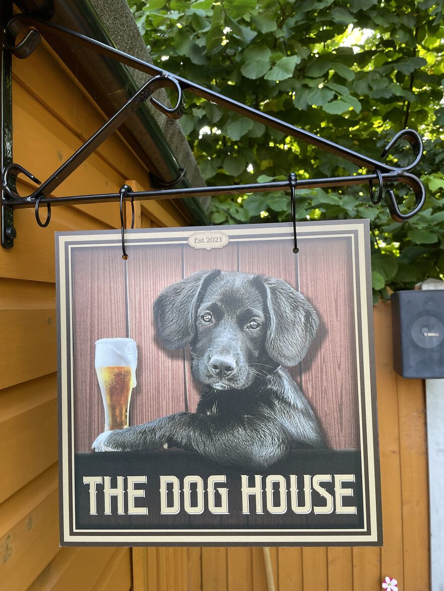 Back In The Dog House Again