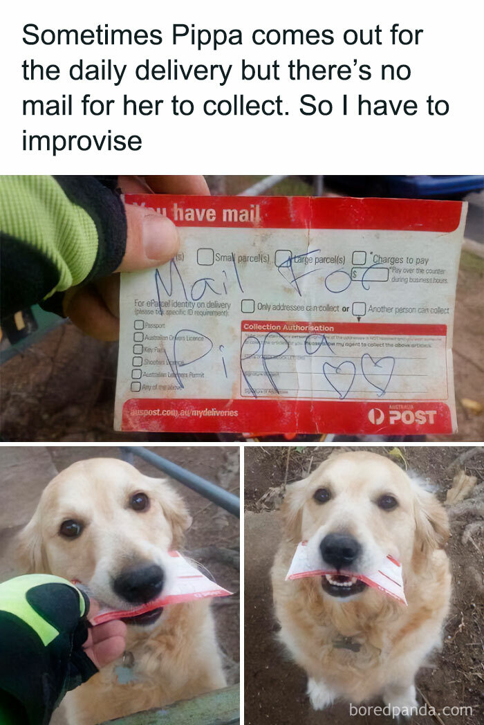 Postgirl Pippa