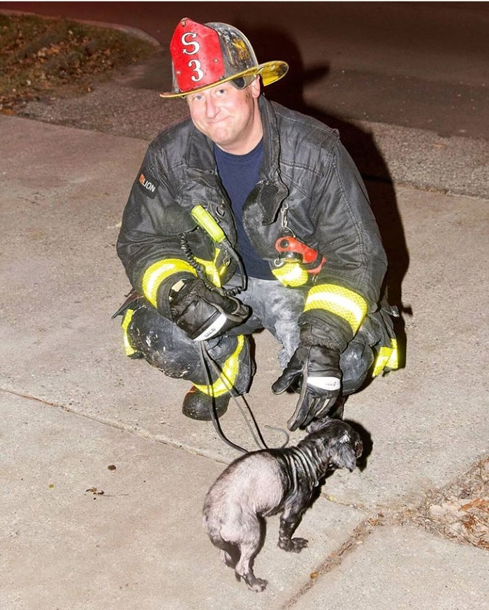 We Kept Finding Dogs On The Brink Of Death In Detroit - So We Started A Dog Rescue (13 Pics) We Kept Finding Dogs On The Brink Of Death In Detroit - So We Started A Dog Rescue (13 Pics)