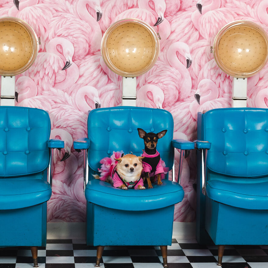 These Two Actually Were Headed To The Met Gala But Took A Wrong Turn