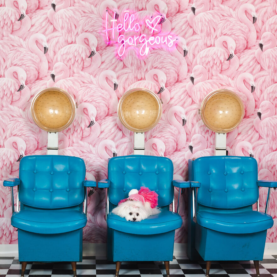 Being Beautiful Is Hard Work, We Get It. Take All The Rest You Need Darling