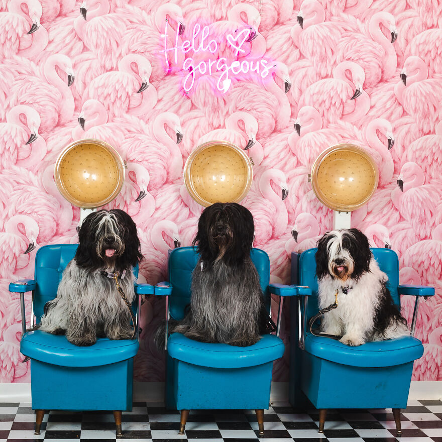 Oops! These Three Thought They Were Actually Going To Get A Perm. Sorry!