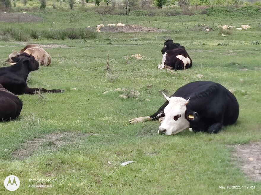 When Your Mind Is Clear And You Are Living The Moment