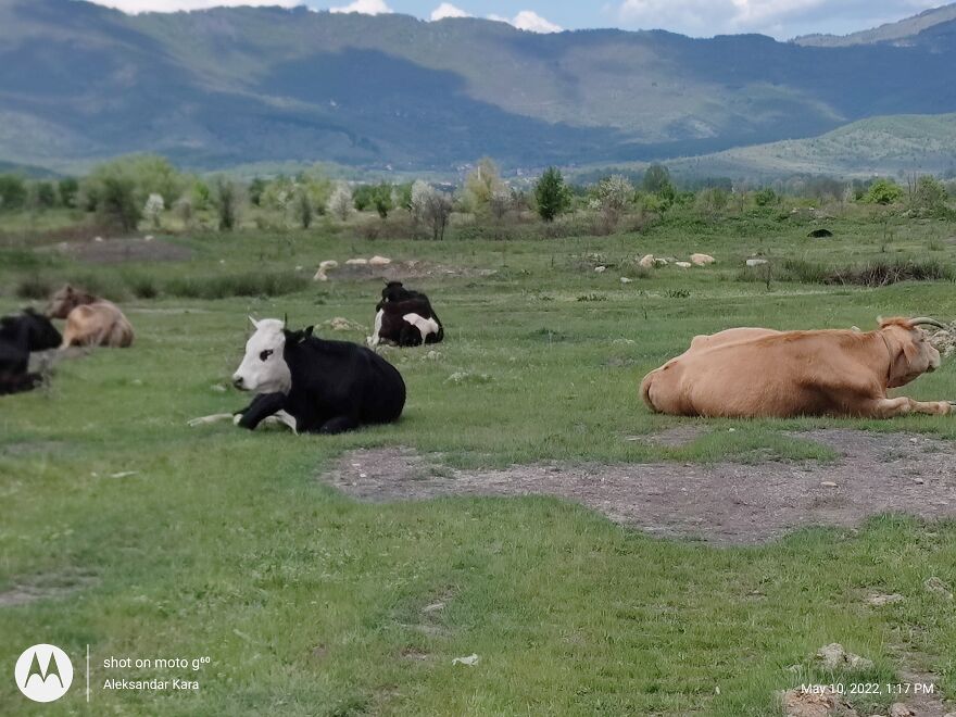 When Your Mind Is Clear And You Are Living The Moment