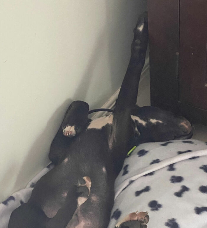 He Slept Like This For A Hour