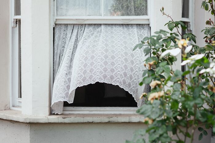 18 Ex-ladrones comparten consejos sobre cómo proteger tu casa contra los robos