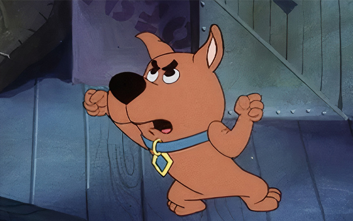 Scrappy-Doo, Scooby-Doo Universe