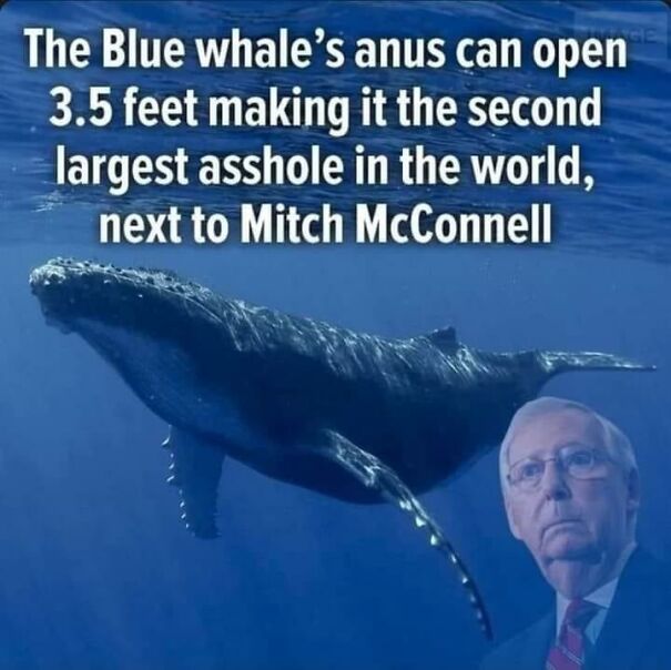 asshole-62771abbed8de.jpg