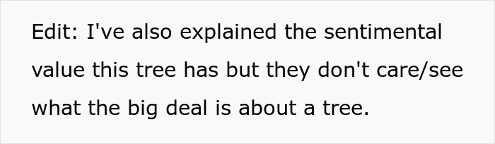 “AITA For Not Removing A Tree From My Property As My New Neighbor Demands?” “AITA For Not Removing A Tree From My Property As My New Neighbor Demands?”