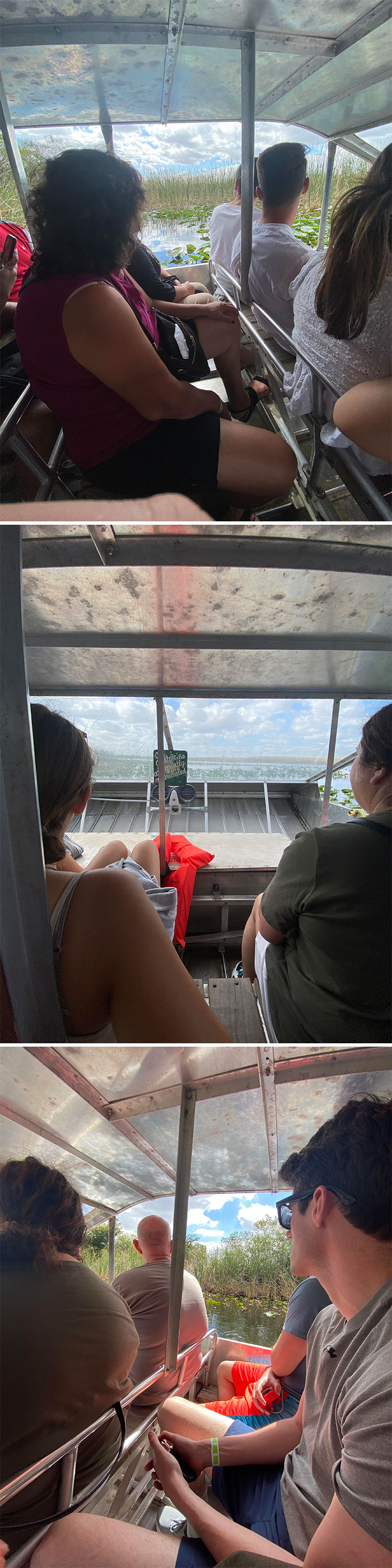 Paid $60 For An Alligator Tour, This Was My View The Whole Time