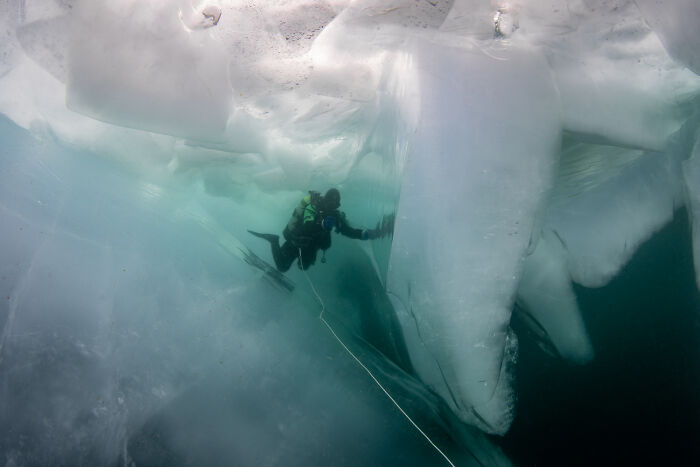 Beneath The Ice: I Took Underwater Shots Of Lake Baikal's Seals (16 Pics) Beneath The Ice: I Took Underwater Shots Of Lake Baikal's Seals (16 Pics)