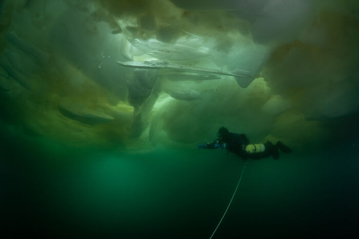 Beneath The Ice: I Took Underwater Shots Of Lake Baikal's Seals (16 Pics) Beneath The Ice: I Took Underwater Shots Of Lake Baikal's Seals (16 Pics)