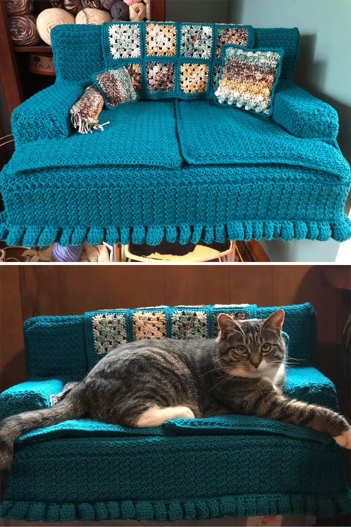 He puesto mucho esfuerzo en este sofá para gatitos, pero ha valido la pena ver la carita de Pepper: completamente indiferente