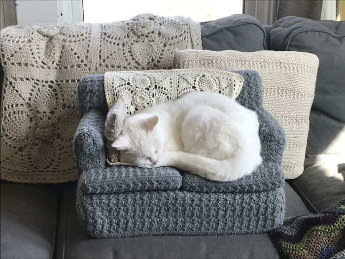 Made A Kitty Couch - And She Actually Uses It!!!