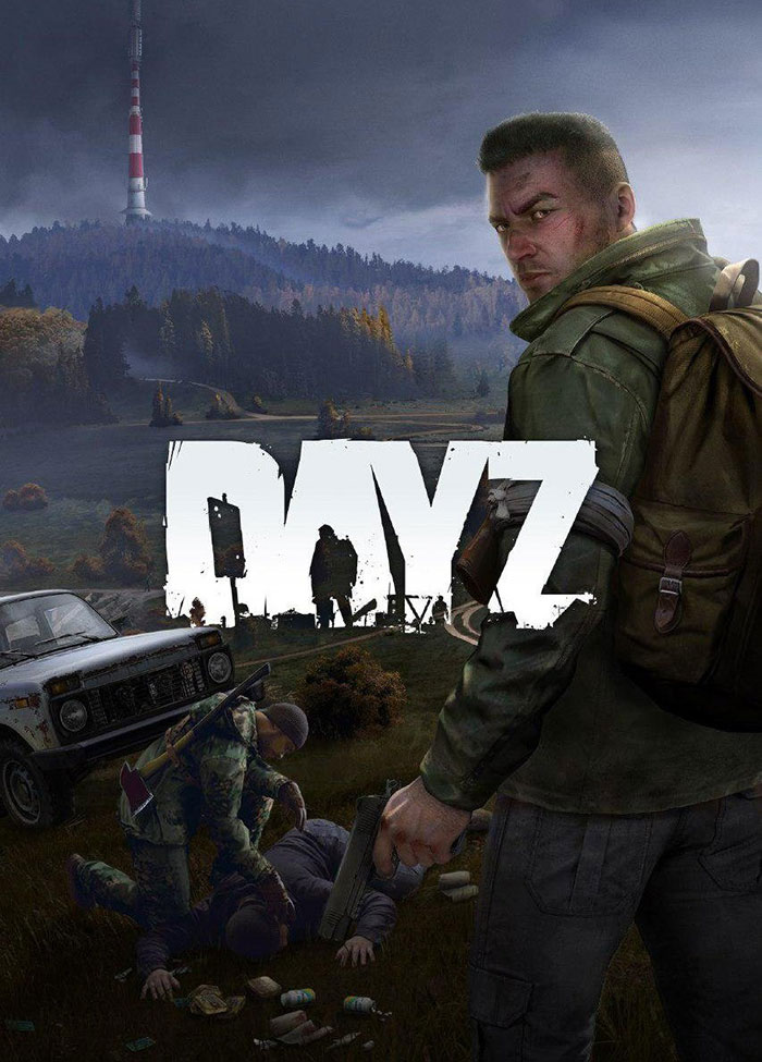 Poster of DayZ video game 