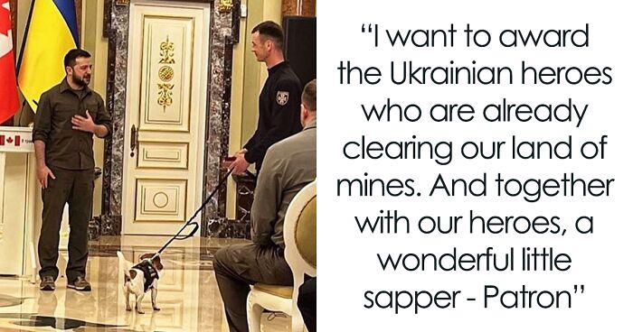 Hero Pup Patron Awarded Medal By Ukrainian President Zelensky For Sniffing Out Over 250 Bombs And Munitions
