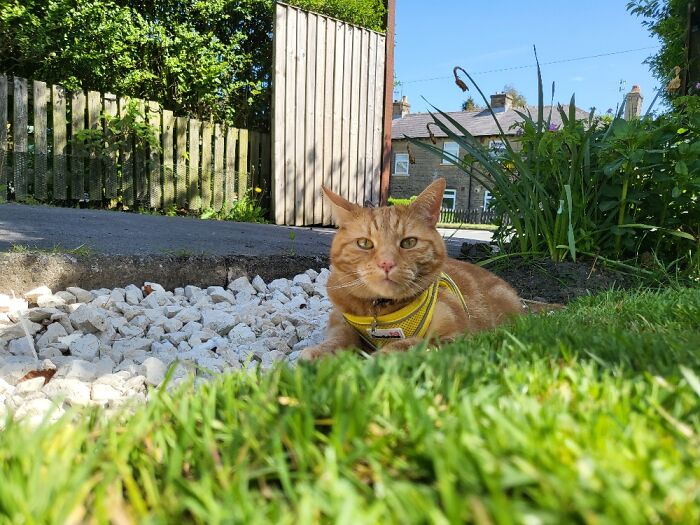 Garden Dates With This Guy