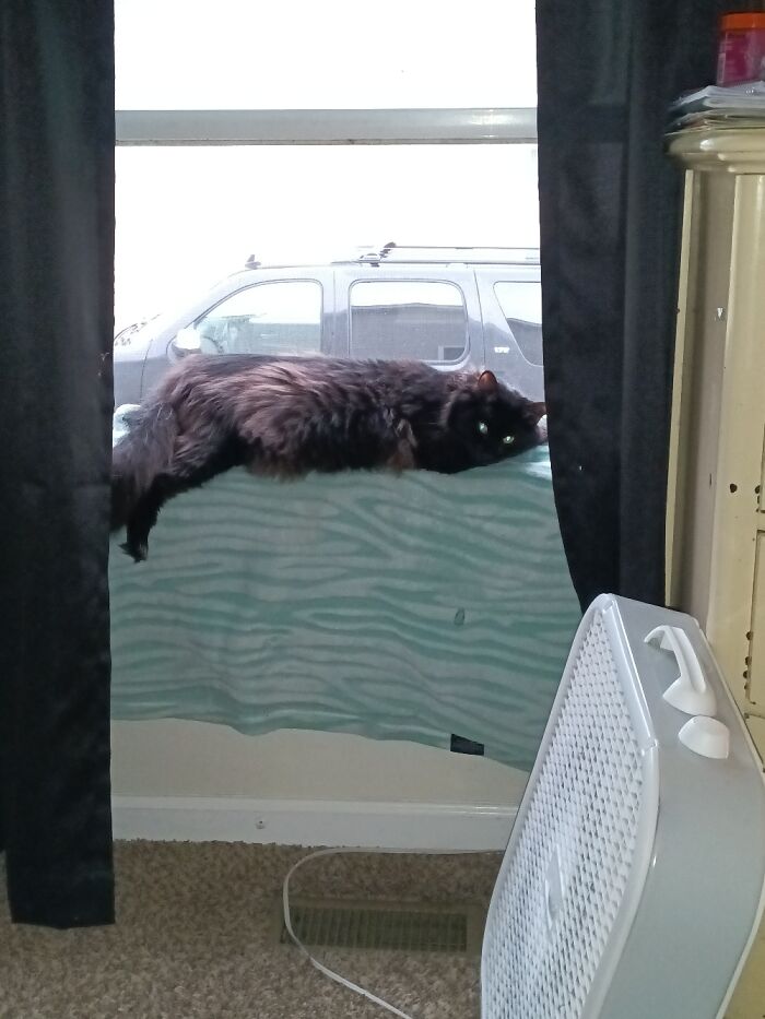 She Loves The Window.