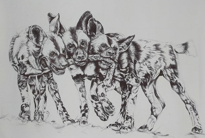 African Wild Dog Pups Playing With An Impala Bone... Pen On Paper