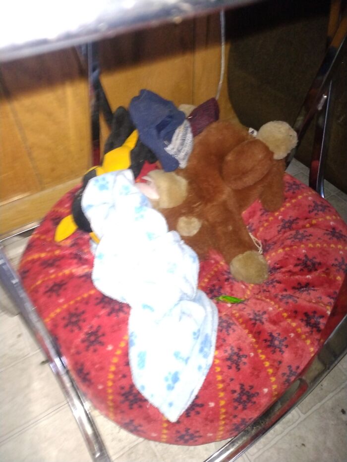 Bed N Stuffed Animals