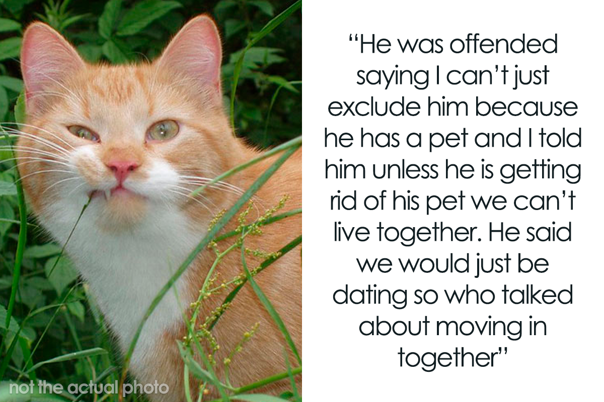 Cat person dating