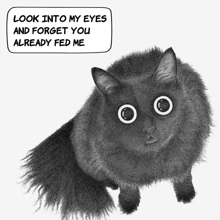 This Artist Makes Wholesome Illustrations About Cats, And Here Are His 60 Best Ones
