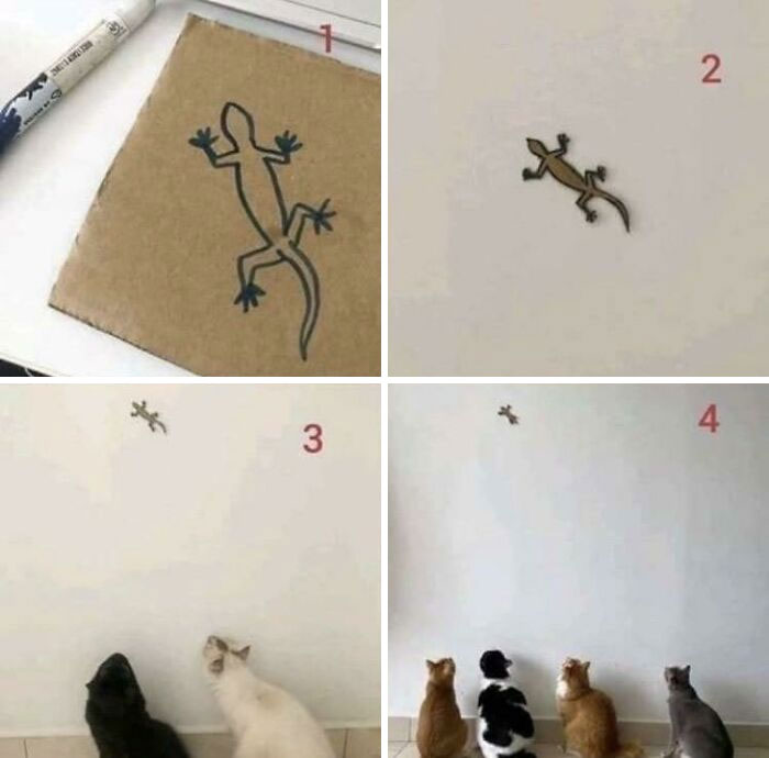 A Less Conventional Way To Catch Felines