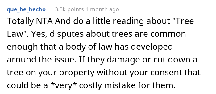 “AITA For Not Removing A Tree From My Property As My New Neighbor Demands?” “AITA For Not Removing A Tree From My Property As My New Neighbor Demands?”
