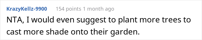“AITA For Not Removing A Tree From My Property As My New Neighbor Demands?” “AITA For Not Removing A Tree From My Property As My New Neighbor Demands?”