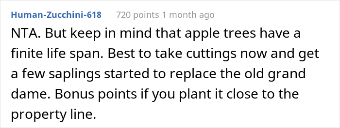 “AITA For Not Removing A Tree From My Property As My New Neighbor Demands?” “AITA For Not Removing A Tree From My Property As My New Neighbor Demands?”