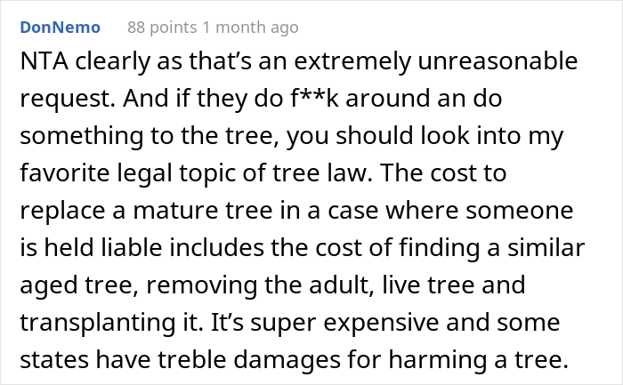 “AITA For Not Removing A Tree From My Property As My New Neighbor Demands?” “AITA For Not Removing A Tree From My Property As My New Neighbor Demands?”