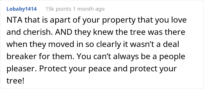 “AITA For Not Removing A Tree From My Property As My New Neighbor Demands?” “AITA For Not Removing A Tree From My Property As My New Neighbor Demands?”