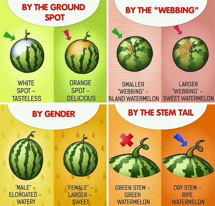 How To Pick The Right Watermelon