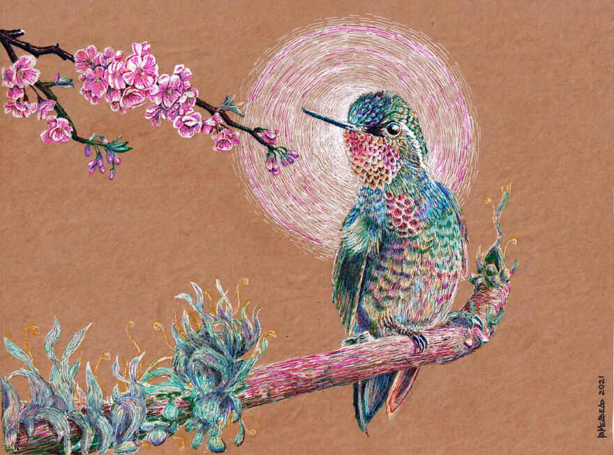 A Hummingbird