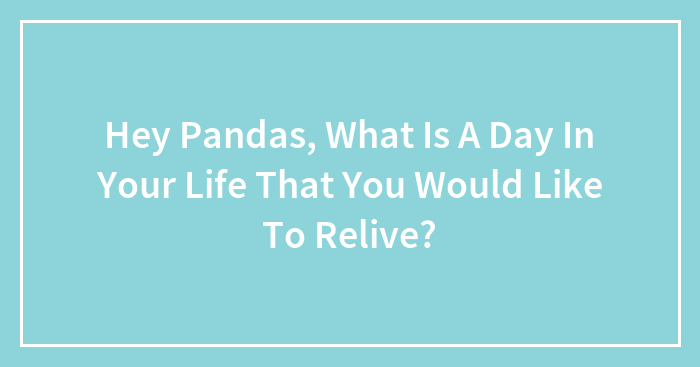 Hey Pandas, What Is A Day In Your Life That You Would Like To Relive? (Closed)