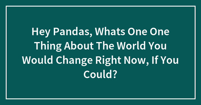 Hey Pandas, What’s One Thing About The World You Would Change Right Now, If You Could? (Closed)