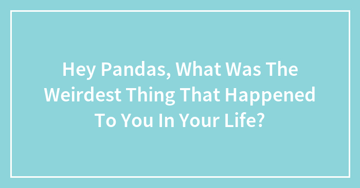 Hey Pandas, What Was The Weirdest Thing That Happened To You In Your Life?