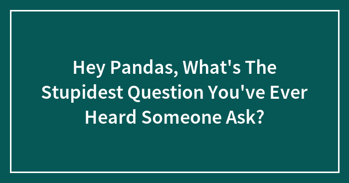 Hey Pandas, What’s The Stupidest Thing You’ve Ever Heard Someone Ask?