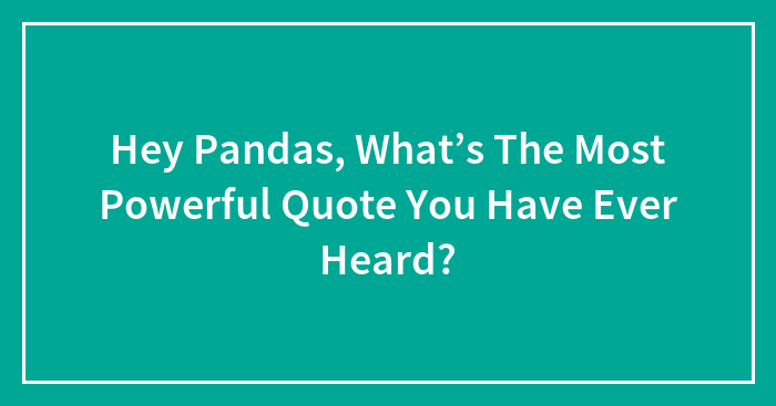 Hey Pandas, What’s The Most Powerful Quote You Have Ever Heard?