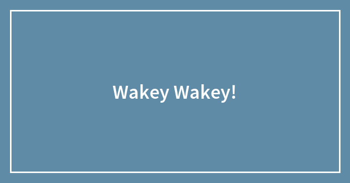 Wakey Wakey!