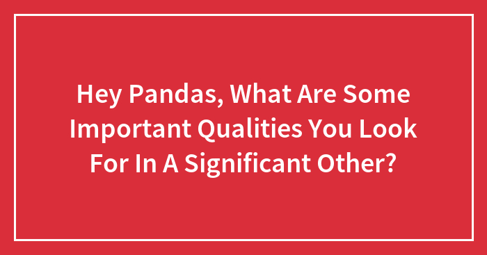 Hey Pandas, What Are Some Important Qualities You Look For In A Significant Other?