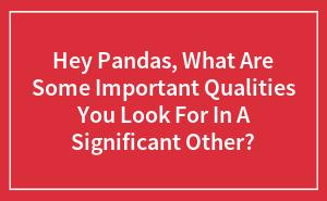 Hey Pandas, What Are Some Important Qualities You Look For In A Significant Other?