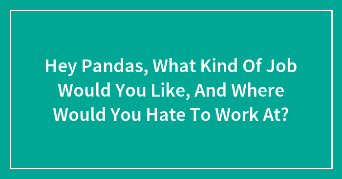 Hey Pandas, What Kind Of Job Would You Like, And Where Would You Hate To Work At? (Closed)