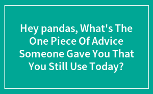 Hey Pandas, What's The One Piece Of Advice Someone Gave You That You Still Use Today?