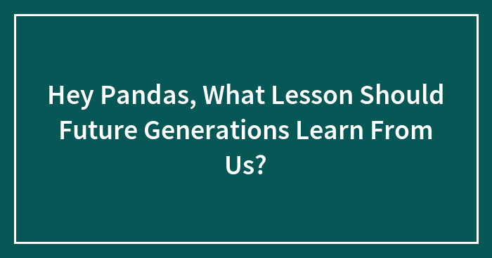 Hey Pandas, What Lesson Should Future Generations Learn From Us? (Closed)